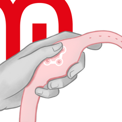 WATCHME - WIRELESS TECHNOLOGY WATCH SOFT PINK - 53Xshop