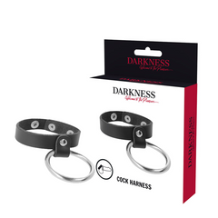 DARKNESS - METAL RING FOR THE PENIS AND TESTICLES - 53Xshop