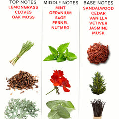 EYE OF LOVE - PARFUM PHÉROMONE EOL 10 ML - ROMANTIQUE