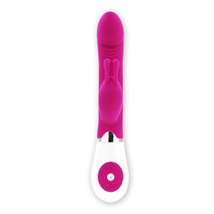 PRETTY LOVE - FLIRTATION VIBRATOR WITH RABBIT GENE - 53Xshop