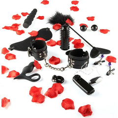 TOYJOY - AMAZING PLEASURE SEX TOY KIT - 53Xshop