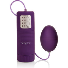 CALIFORNIA EXOTICS - POCKET EXOTICS WATERPROOF EGG PURPLE 4V - 53Xshop