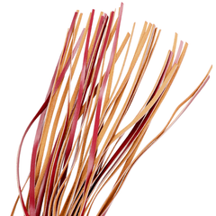 FETISH SUBMISSIVE DARK ROOM - VEGAN LEATHER WHIP - 53Xshop