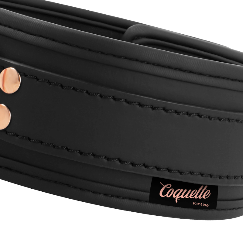 COQUETTE CHIC DESIRE - FANTASY VEGAN LEATHER COLLAR WITH NEOPRENE LINING - 53Xshop