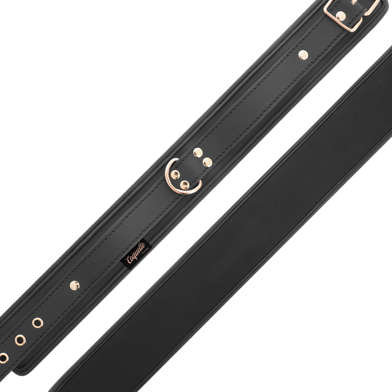 COQUETTE CHIC DESIRE - FANTASY VEGAN LEATHER COLLAR WITH NEOPRENE LINING - 53Xshop