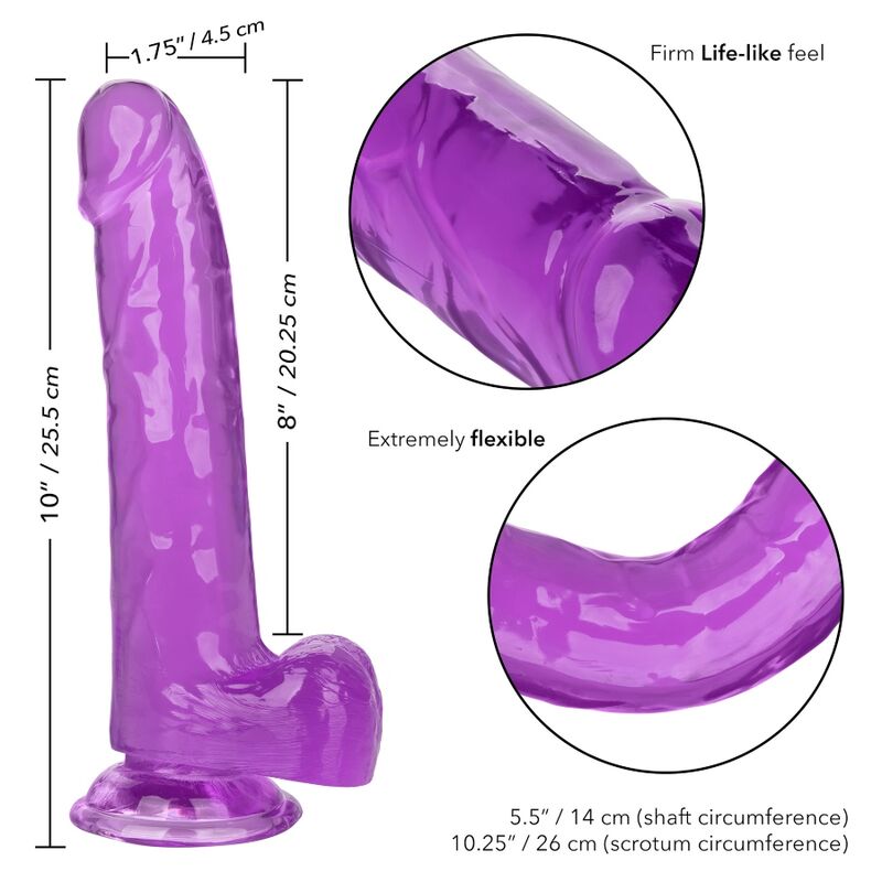 CALEXOTICS - SIZE QUEEN DILDO PURPLE 20.3 CM - 53Xshop