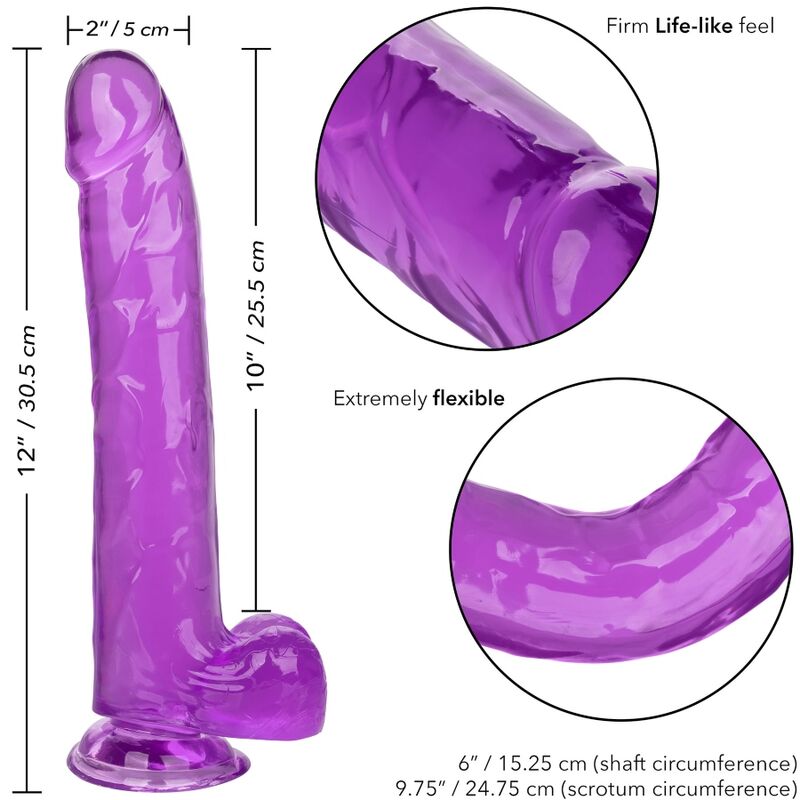 CALEXOTICS - SIZE QUEEN DILDO PURPLE 25.5 CM - 53Xshop