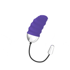 MR BOSS - DENIS EGG REMOTE CONTROL - 53Xshop