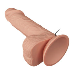 BAILE - BEAUTIFUL ENCOUNTER VIBRATION CATOBLEPAS 20.6 CM NATURAL