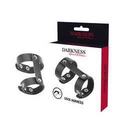 DARKNESS - LEATHER ADJUSTABLE PENIS AND TESTICLE RING - 53Xshop