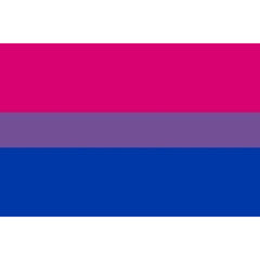 PRIDE - BISEXUAL FLAG BRACELET 90 X 150
