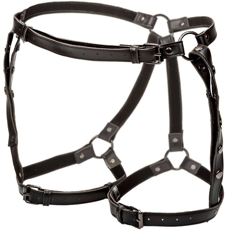 CALEXOTICS - HARNAIS D'ÉQUITATION EUPHORIA GRANDE TAILLE