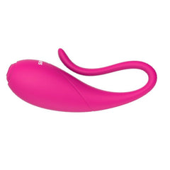 NALONE - COCO VIBRATOR CLAMPS - 53Xshop