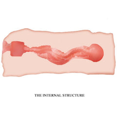 CRAZY BULL - JANE VAGINA MASTURBATOR 13.5 CM - 53Xshop