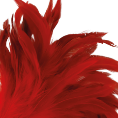 DARKNESS - RED STIMULATING PEN 24CM - 53Xshop