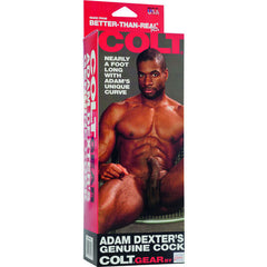 CALEXOTICS - COLT ADAM DEXTERS COCK - 53Xshop