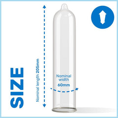 PASANTE - CONDOMS KING MS LONG AND WIDTH 12 UNITS - 53Xshop
