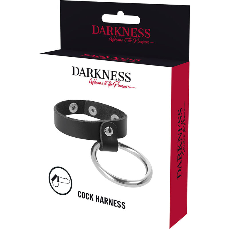 DARKNESS - METAL RING FOR THE PENIS AND TESTICLES - 53Xshop