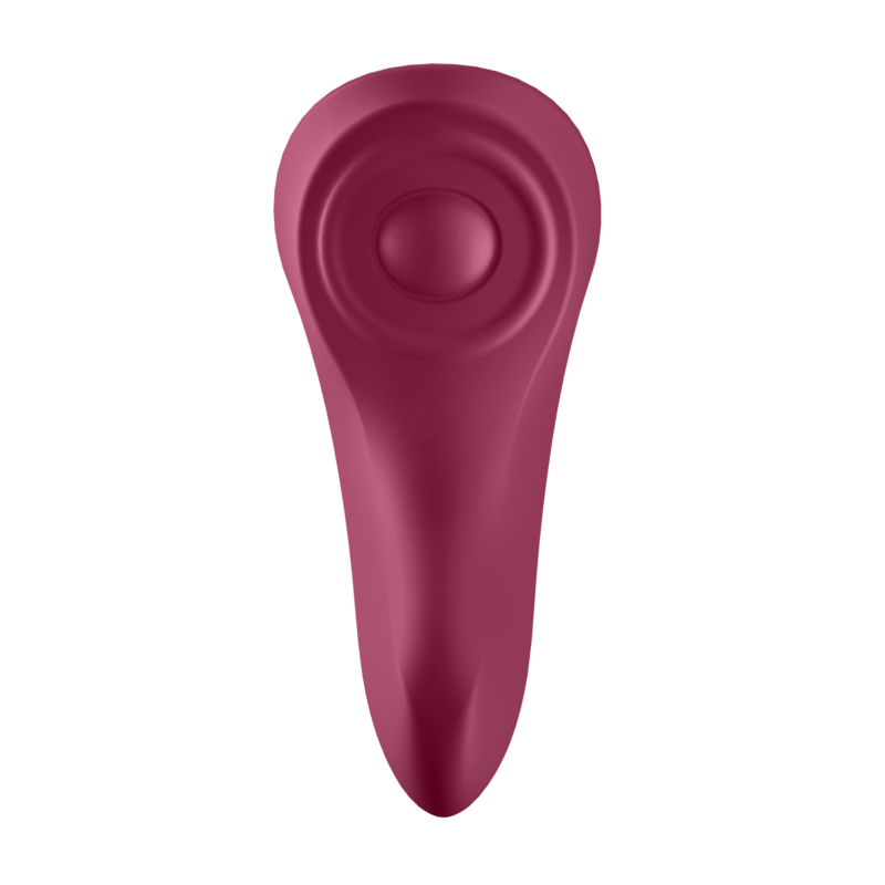 SATISFYER - SEXY SECRET PANTY - 53Xshop